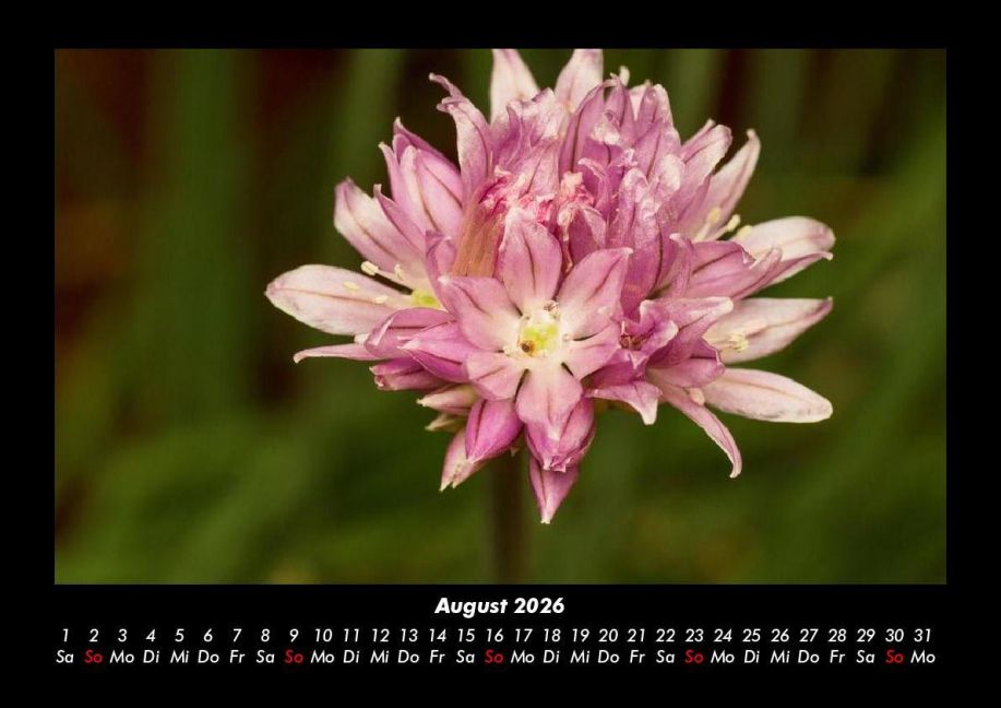 additionalImage12