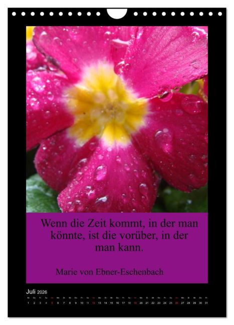 additionalImage12