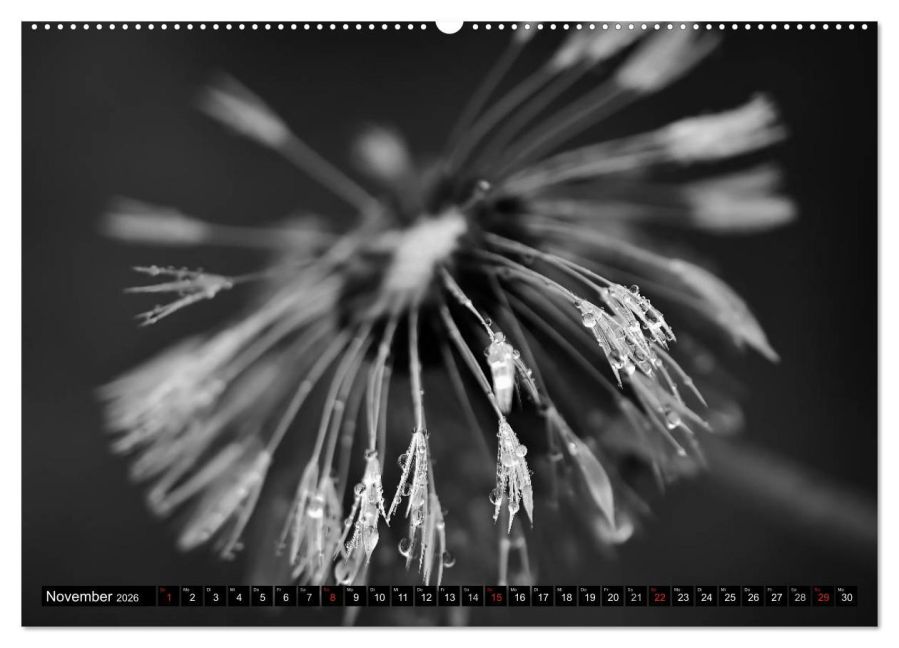 additionalImage2