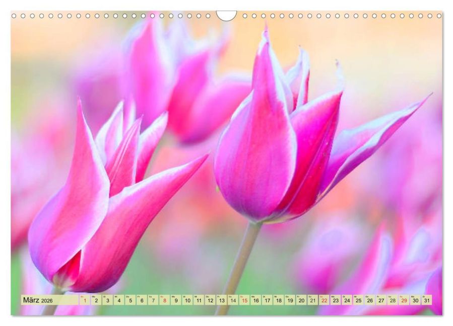 additionalImage8