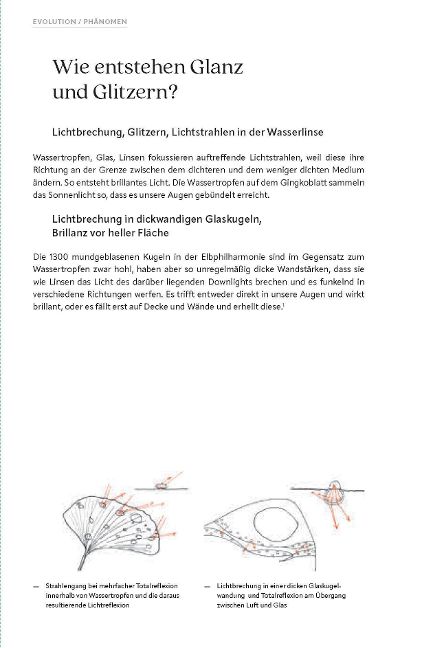 additionalImage6