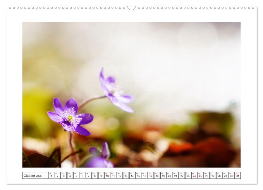 additionalImage2
