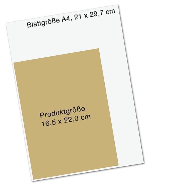 additionalImage7