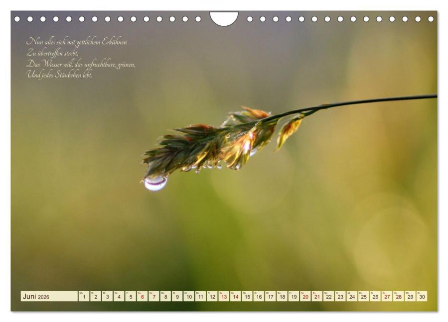 additionalImage11