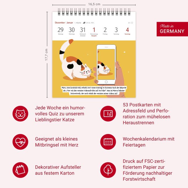 additionalImage13