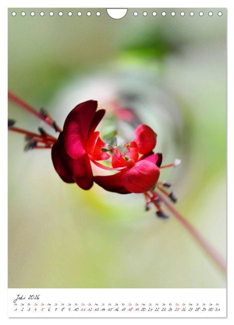 additionalImage12