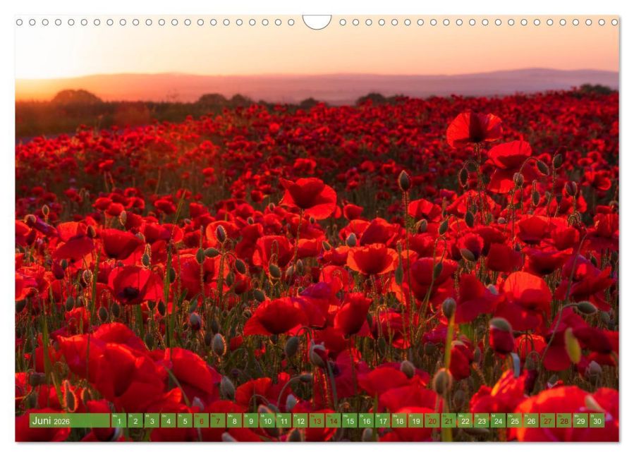 additionalImage11