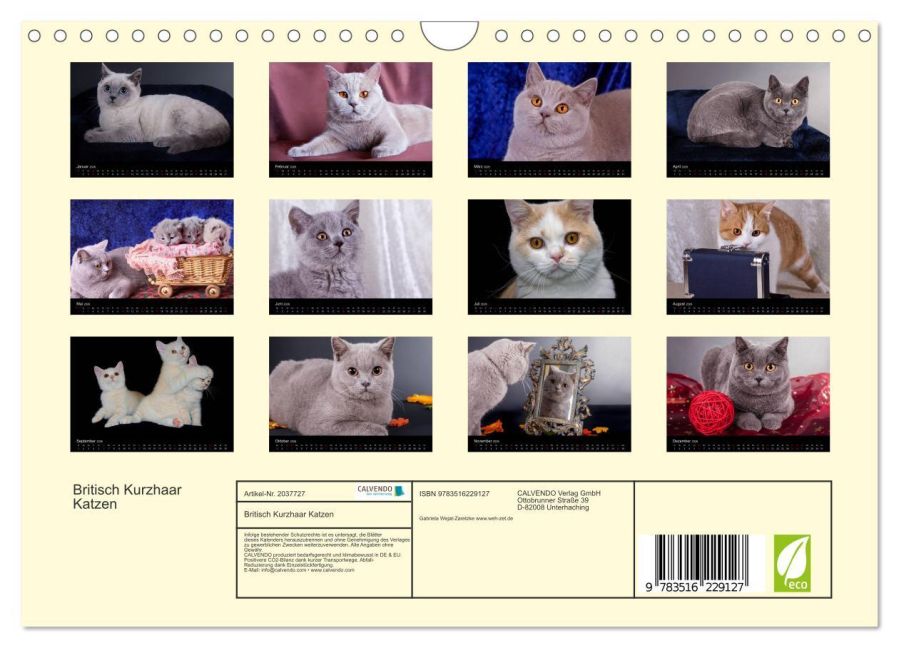 additionalImage5