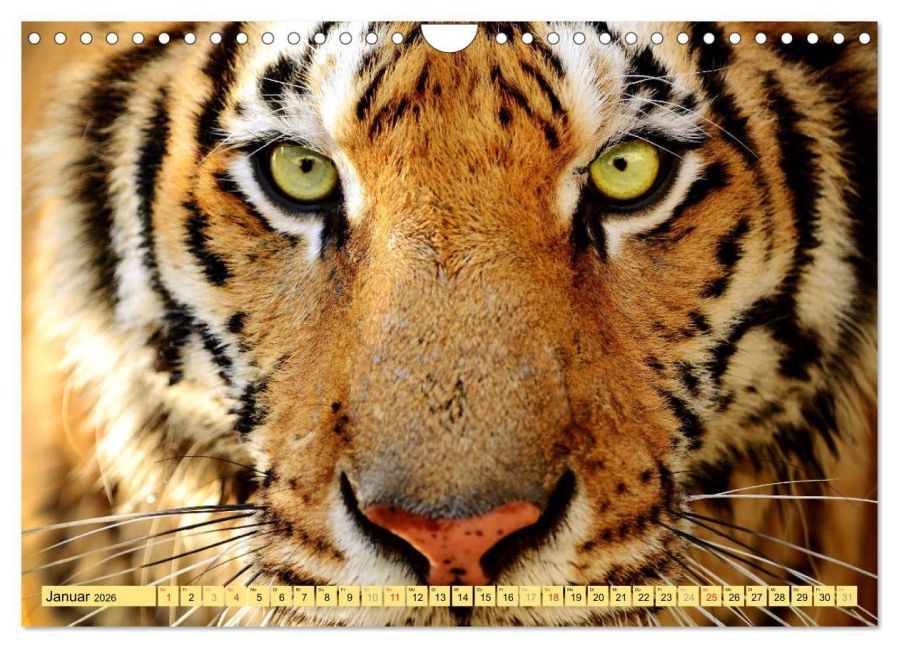 additionalImage6
