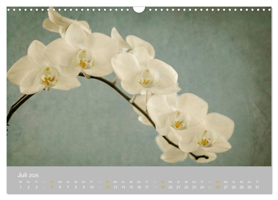 additionalImage12
