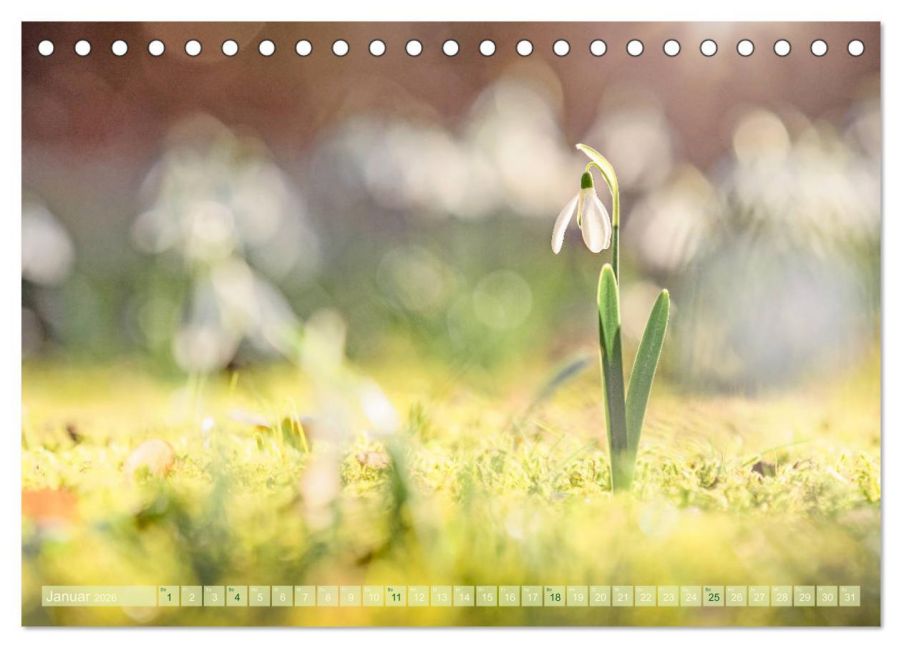 additionalImage6