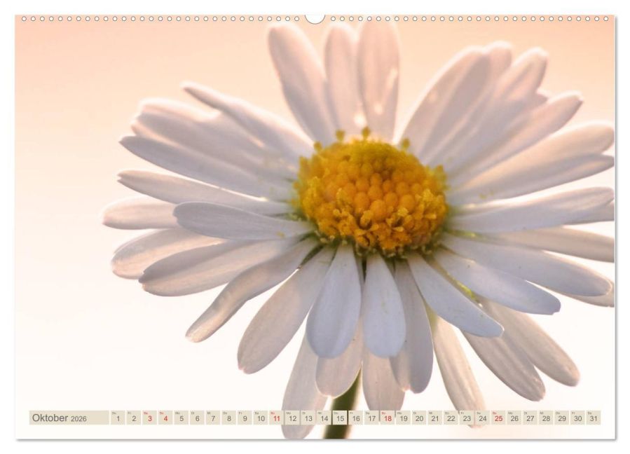 additionalImage1