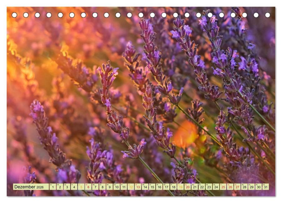 additionalImage4