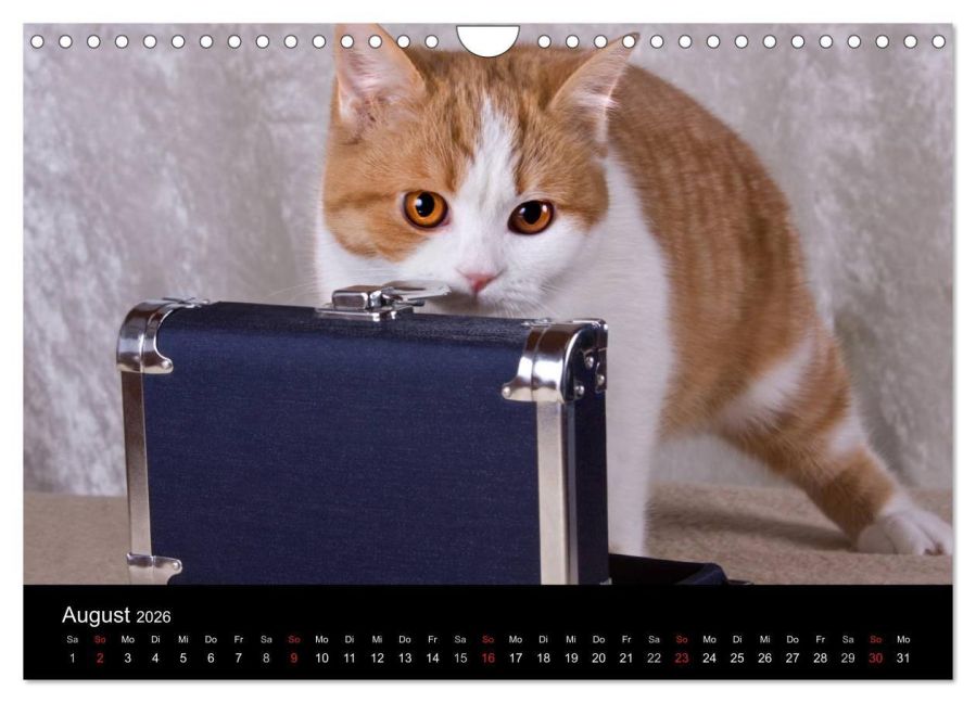 additionalImage13