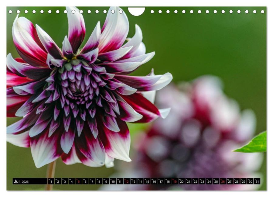 additionalImage12