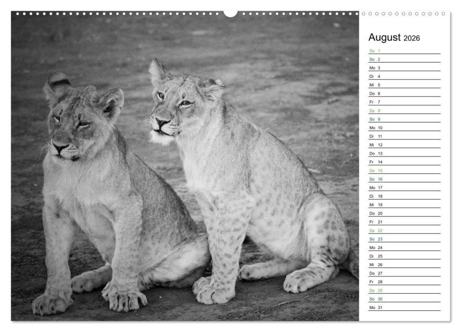 additionalImage13