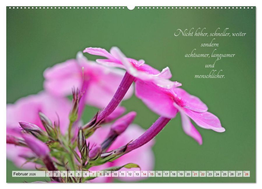 additionalImage7
