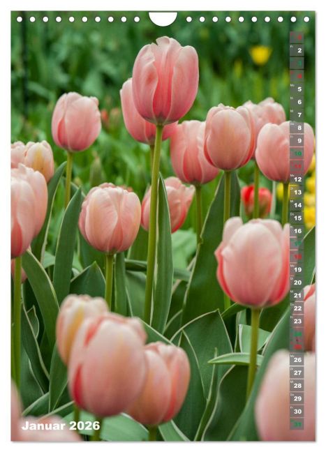 additionalImage6
