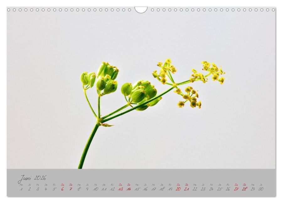 additionalImage11