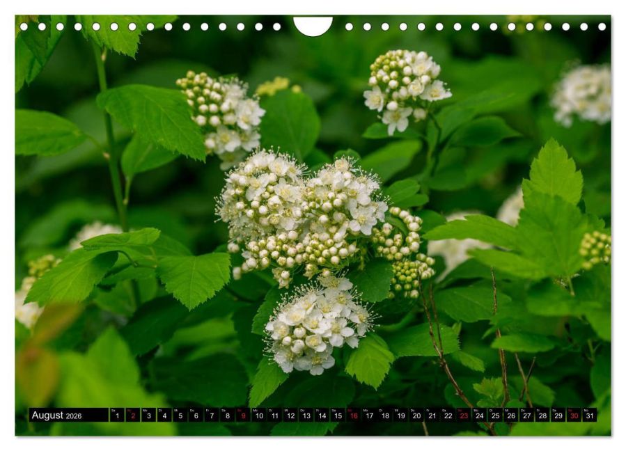 additionalImage13