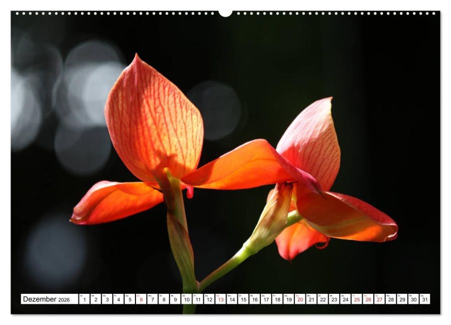 additionalImage3