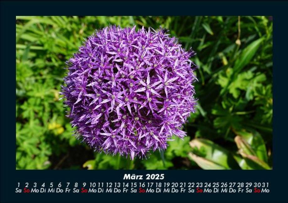 additionalImage7
