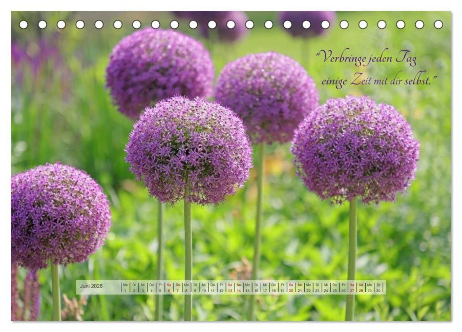 additionalImage11