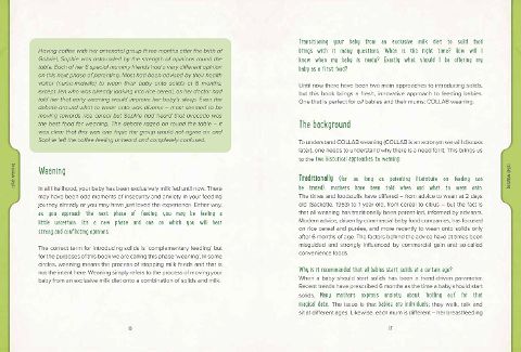 additionalImage2