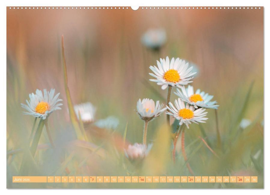 additionalImage10