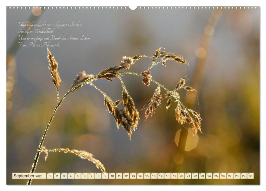additionalImage14