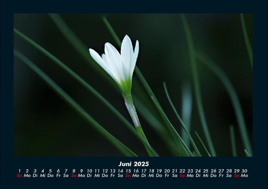 additionalImage10