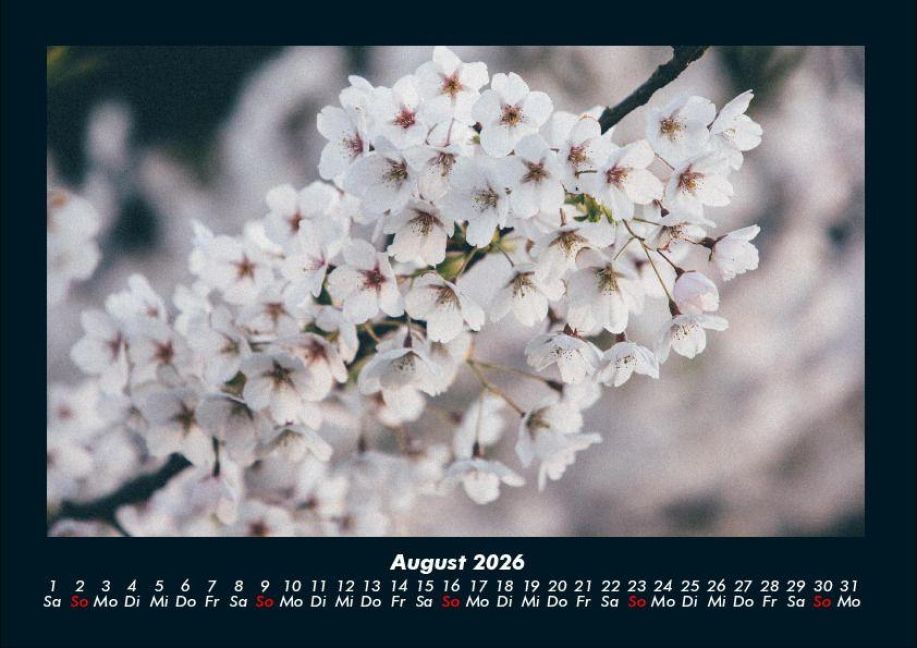 additionalImage12
