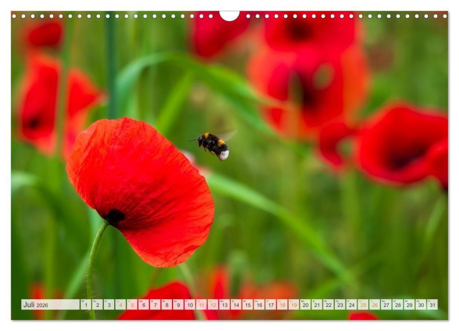 additionalImage12