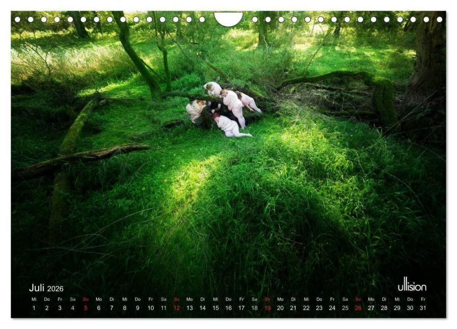 additionalImage12