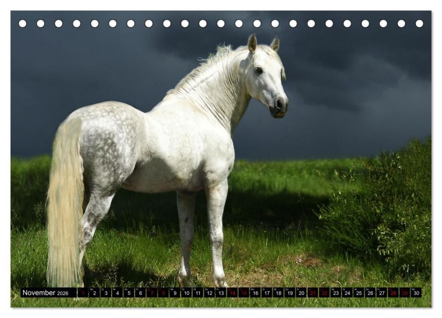 additionalImage3