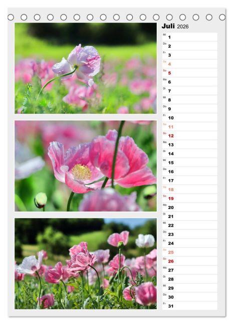 additionalImage12