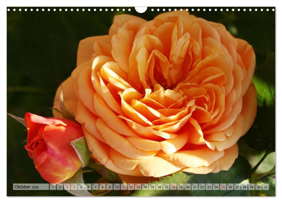 additionalImage2