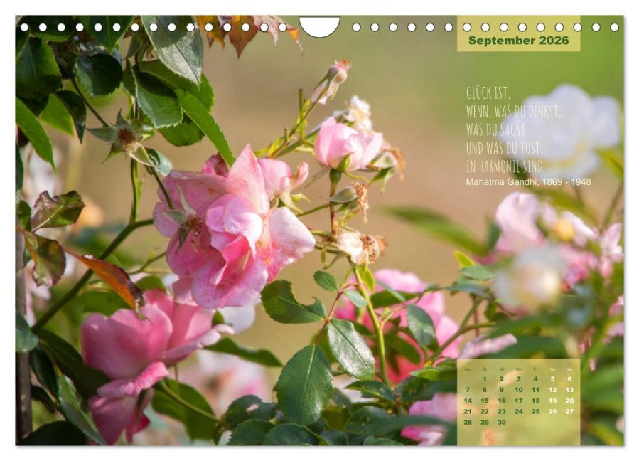 additionalImage14