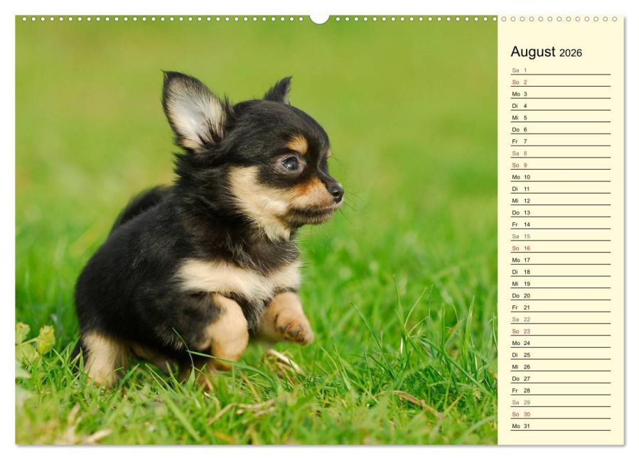 additionalImage12