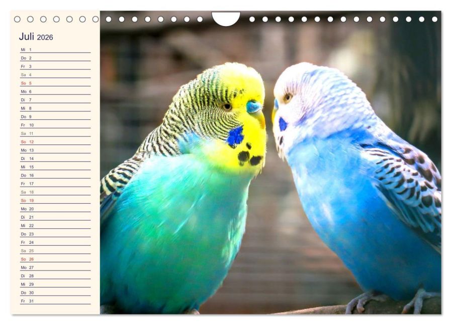 additionalImage12
