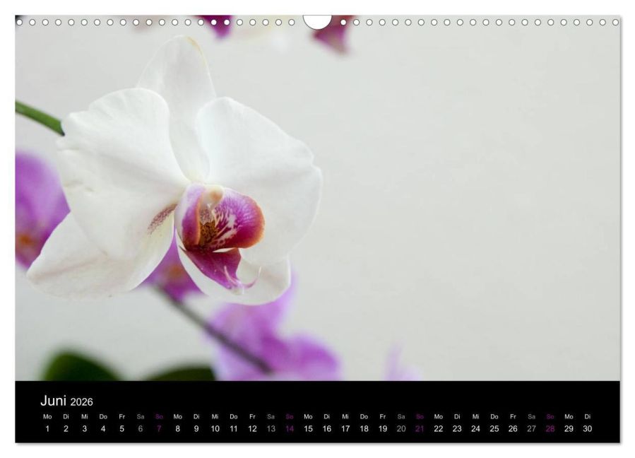 additionalImage11
