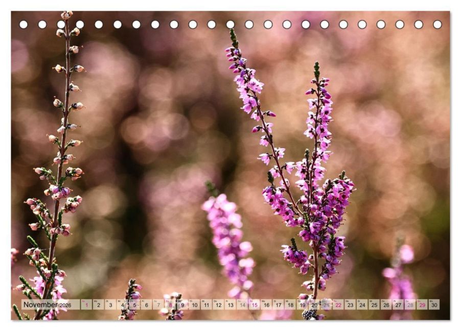 additionalImage3