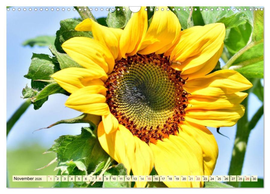 additionalImage3