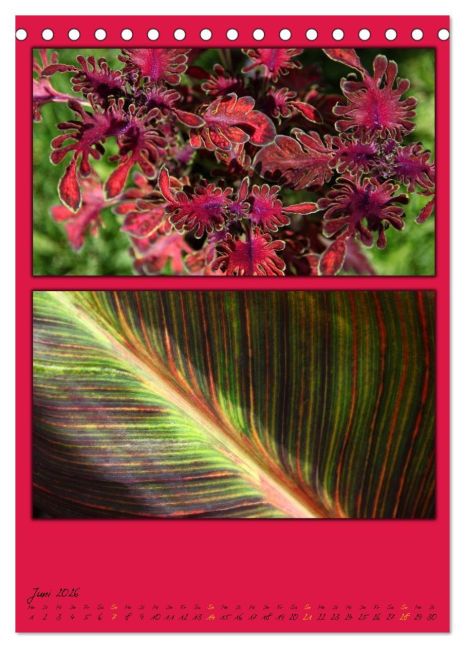 additionalImage11