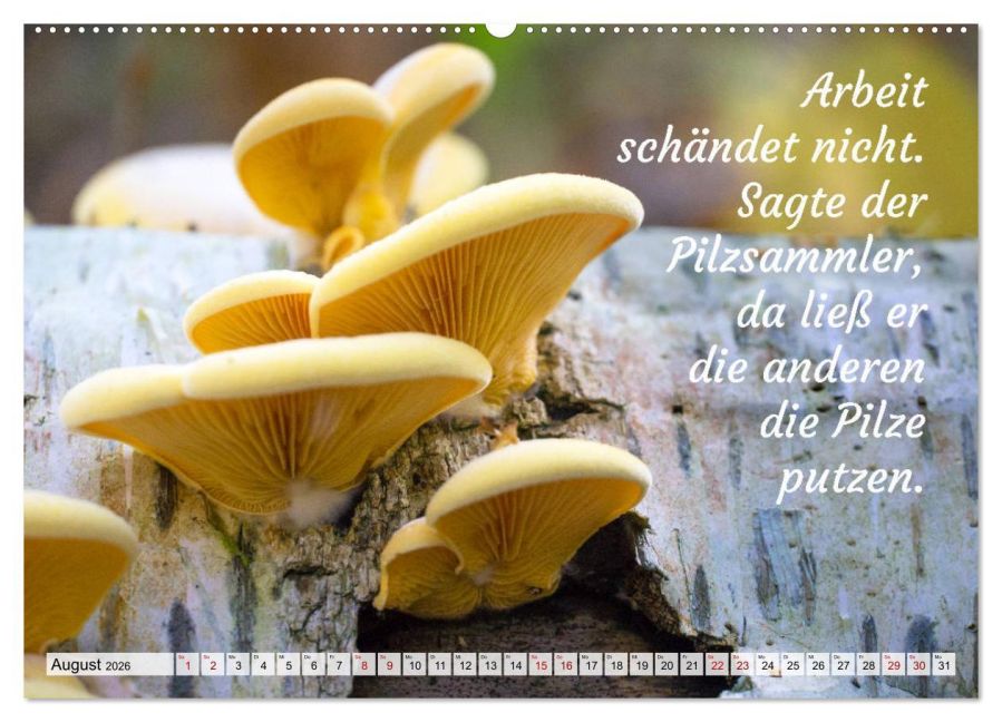 additionalImage13