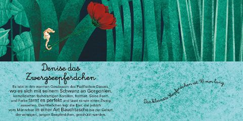 additionalImage12
