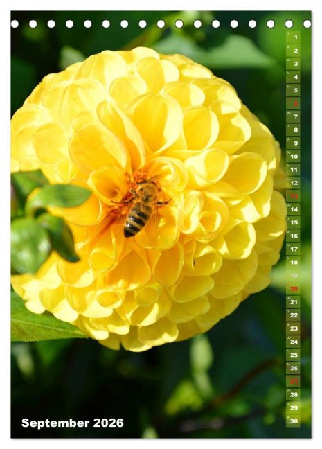 additionalImage14
