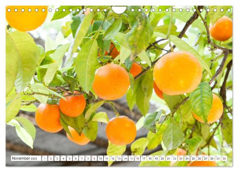 additionalImage3