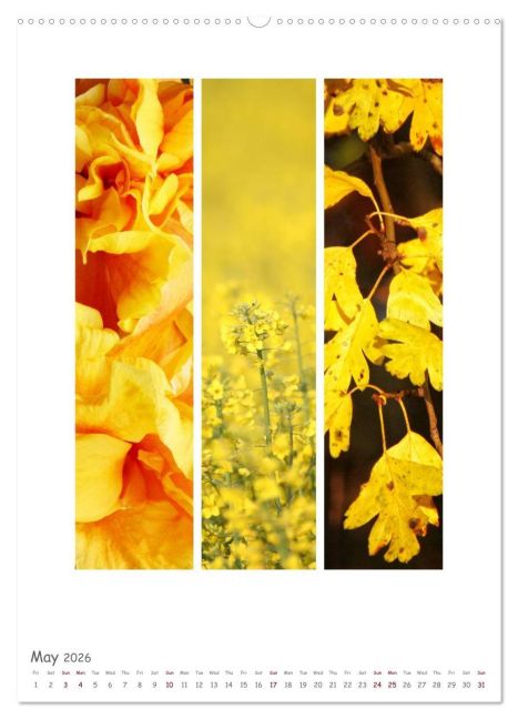 additionalImage9