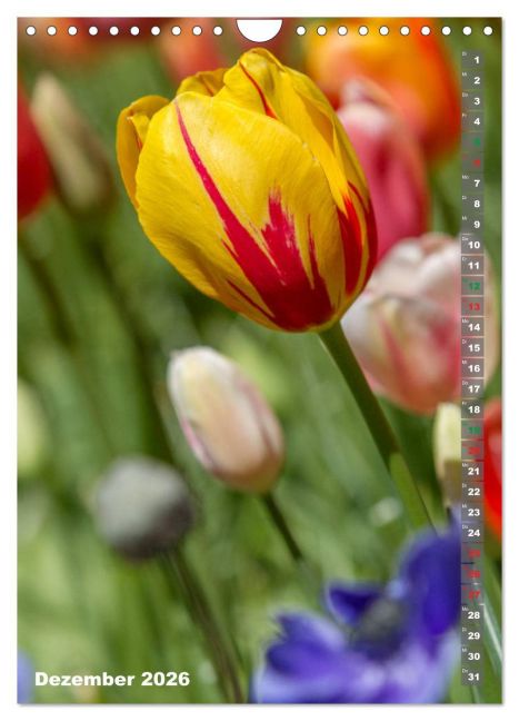 additionalImage4